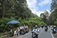 Pemudik dan wisatawan melintas di jalur Sungai Penuh-Tapan yang membelah kawasan TNKS, Selasa (24/3/2026). ANTARA/Agus Suprayitn--