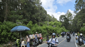Pemudik dan wisatawan melintas di jalur Sungai Penuh-Tapan yang membelah kawasan TNKS, Selasa (24/3/2026). ANTARA/Agus Suprayitn--