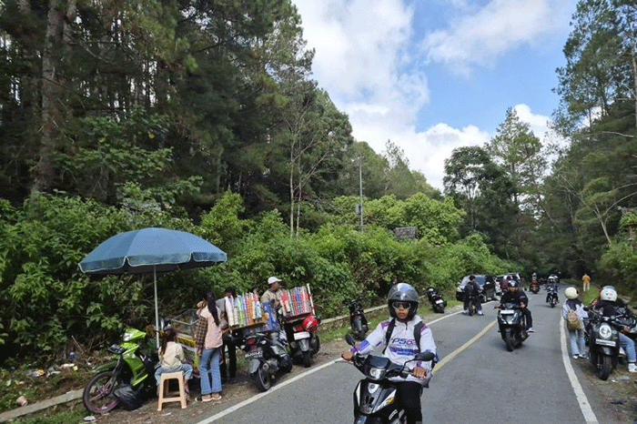 Pemudik dan wisatawan melintas di jalur Sungai Penuh-Tapan yang membelah kawasan TNKS, Selasa (24/3/2026). ANTARA/Agus Suprayitn--