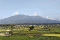 Arsip-Gunung Marapi mengalami hembusan di Kabupaten Agam, Sumatera Barat. ANTARA/Muhammad Zulfikar