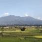 Arsip-Gunung Marapi mengalami hembusan di Kabupaten Agam, Sumatera Barat. ANTARA/Muhammad Zulfikar
