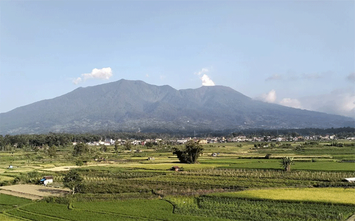 Arsip-Gunung Marapi mengalami hembusan di Kabupaten Agam, Sumatera Barat. ANTARA/Muhammad Zulfikar