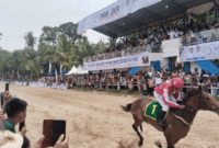 Ribuan penonton menyaksikan seekor kuda berpacu pada Padang Pariaman Pacu Kudo 2026 yang dilaksanakan di Gelanggang Pacuan Kuda Duku Banyak Kecamatan VII Koto di kabupaten setempat, Sumbar pada Sabtu (28/3). ANTARA/Aadiaat M. S.