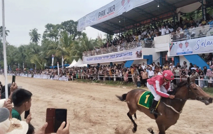 Ribuan penonton menyaksikan seekor kuda berpacu pada Padang Pariaman Pacu Kudo 2026 yang dilaksanakan di Gelanggang Pacuan Kuda Duku Banyak Kecamatan VII Koto di kabupaten setempat, Sumbar pada Sabtu (28/3). ANTARA/Aadiaat M. S.