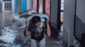 Warga Siulak, Kerinci memindahkan padi dari banjir.