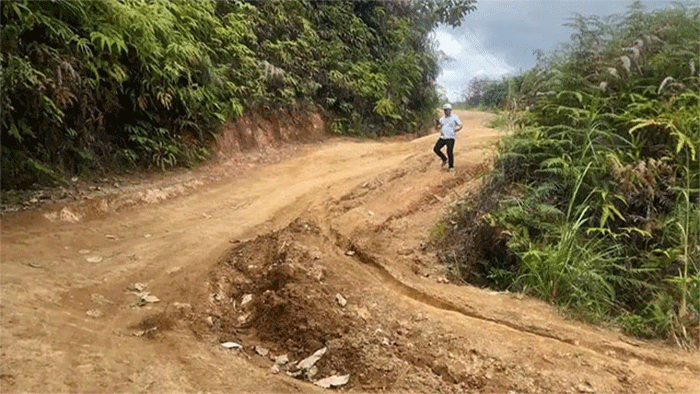 PRIORITAS PERBAIKAN-Pemprov Jambi menetapkan perbaikan jalan di Desa Ranah Pemetik sebagai prioritas 2026 guna mendukung konektivitas dan distribusi pertanian.