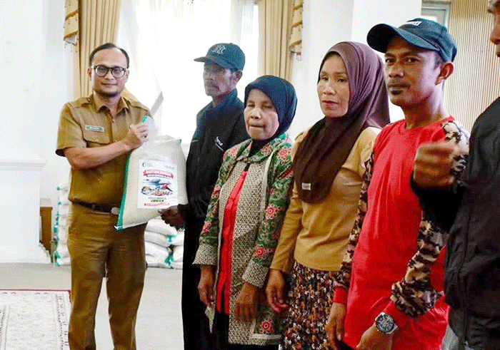 Penyerahan bantuan beras kepada warga terdampak bencana di  Padang Panjang.