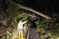 Kondisi longsor jalur Sungai Penuh–Tapan