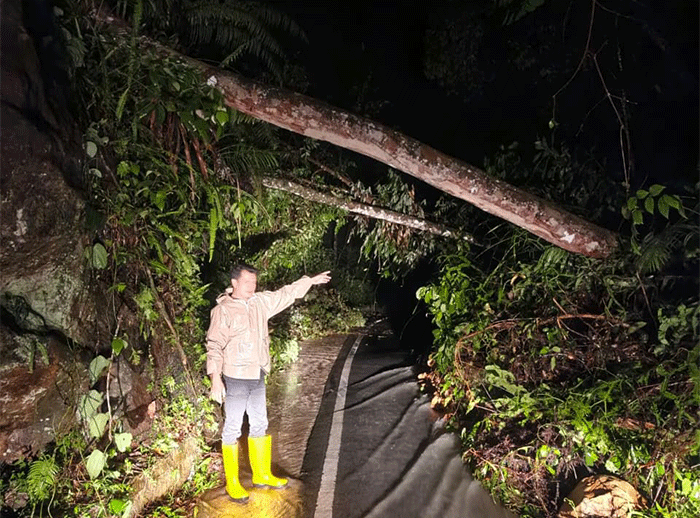 Kondisi longsor jalur Sungai Penuh–Tapan