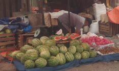 Pedagang Bandel Gunakan Payung Kembali Ditertibkan