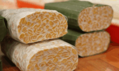 Terbukti Ilmiah! Tempe Bantu Jaga Fungsi Otak hingga Cegah Alzheimer