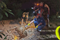 Penemuan jasad SA (63) yang tewas di mutilasi oleh anakndungnya sendiri dikubur dalam kawasan kebun di di Desa Karang Dalam, Kecamatan Pulau Pinang, Kabupaten Lahat, Sumatera Selatan.(Dokumentasi Polisi)