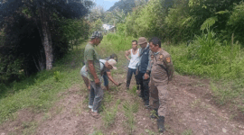 Balai Konservasi Sumber Daya Alam (BKSDA) Sumatera Barat melalui Resort Wilayah Solok segera menerjunkan tim ke lokasi untuk melakukan verifikasi sejak Sabtu (18/4/2026).(Rahmat Panji (Kompas.com))