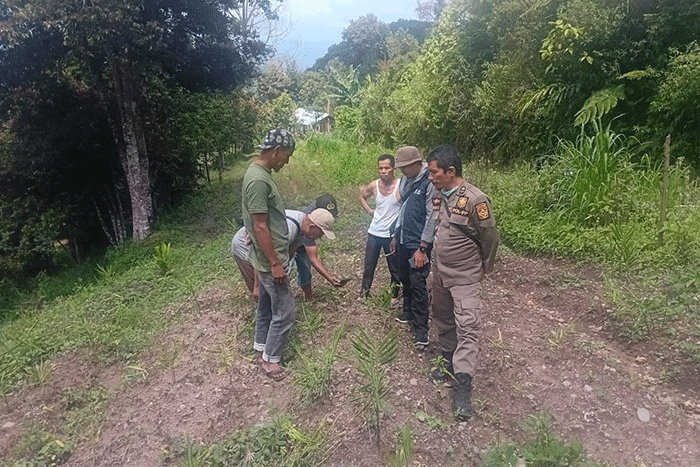 Balai Konservasi Sumber Daya Alam (BKSDA) Sumatera Barat melalui Resort Wilayah Solok segera menerjunkan tim ke lokasi untuk melakukan verifikasi sejak Sabtu (18/4/2026).(Rahmat Panji (Kompas.com))