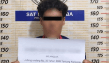 Tersangka berinisial GL (40) diamankan Satresnarkoba Polres Payakumbuh saat pengungkapan kasus peredaran narkotika jenis ganja, Rabu (29/4/2026). Dari tangan pelaku, polisi menyita barang bukti ganja dengan total berat mencapai 982,61 gram. 