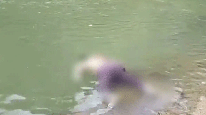 Penampakan jasad dengan identitas laki-laki ditemukan mengambang di Sungai Batang Agam, Jorong Sawah Laweh, Nagari Situjuah Tungkar, Kecamatan Situjuah Limo Nagari, Kabupaten Limapuluh Kota, Minggu (12/4/2026) sekira pukul 12:12 WIB. Kapolsek Situjuah Limo Nagari, AKP Hendra sebut jenazah sudah dievakuasi ke RS Adnaan WD untuk penanganan lebih lanjut. Artikel ini telah tayang di TribunPadang.com dengan judul Warga Laporkan Penemuan Jenazah di Batang Agam, Awalnya Ditemukan oleh Santri Pesantren