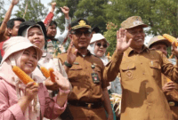 Wakil Wali Kota Azhar Hamzah ikut panen jagung bersama warga di Sungai Ning