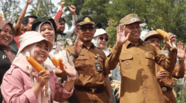 Wakil Wali Kota Azhar Hamzah ikut panen jagung bersama warga di Sungai Ning