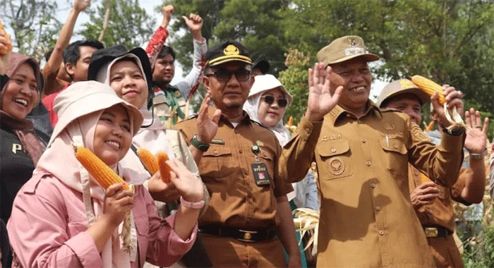 Wakil Wali Kota Azhar Hamzah ikut panen jagung bersama warga di Sungai Ning