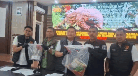 SATWA DILINDUNGI-BKSDA Jambi mengapresiasi Polres Muaro Jambi yang menangkap dua pelaku perdagangan ilegal sisik trenggiling. 