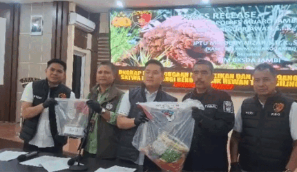 SATWA DILINDUNGI-BKSDA Jambi mengapresiasi Polres Muaro Jambi yang menangkap dua pelaku perdagangan ilegal sisik trenggiling.