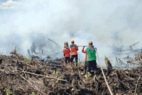Ilustrasi petugas padamkan karhutla di wilayah Provinsi Jambi. Sebanyak 73 desa dan kelurahan di Muaro Jambi terpetakan rawan karhutla dengan sebaran terbanyak di Kecamatan Kumpeh. 