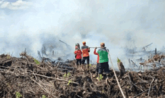 Alarm Bahaya Karhutla! 73 Desa di Muaro Jambi Terancam, Kumpeh Terbanyak
