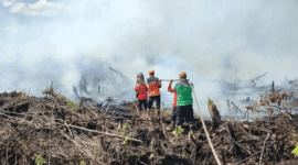 Ilustrasi petugas padamkan karhutla di wilayah Provinsi Jambi. Sebanyak 73 desa dan kelurahan di Muaro Jambi terpetakan rawan karhutla dengan sebaran terbanyak di Kecamatan Kumpeh. 