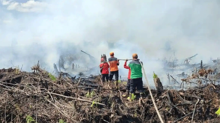 Ilustrasi petugas padamkan karhutla di wilayah Provinsi Jambi. Sebanyak 73 desa dan kelurahan di Muaro Jambi terpetakan rawan karhutla dengan sebaran terbanyak di Kecamatan Kumpeh. 