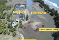 Kondisi kawasan muara di wilayah pesisir yang memperlihatkan keberadaan tambak udang berdekatan dengan ekosistem muara dan kawasan lindung, diduga memicu pencemaran akibat limbah tambak beberapa waktu lalu. Aktivitas tersebut dinilai berpotensi merusak lingkungan pesisir serta mengancam keberlanjutan sumber daya alam di wilayah tersebut. 


Artikel ini telah tayang di TribunPadang.com dengan judul Lagi, Bocah 5 Tahun Tewas di Tambak Udang Padang Pariaman, Walhi Sumbar Desak Audit dan Penutupan, https://padang.tribunnews.com/sumatera-barat/173312/lagi-bocah-5-tahun-tewas-di-tambak-udang-padang-pariaman-walhi-sumbar-desak-audit-dan-penutupan.
Penulis: Fajar Alfaridho Herman | Editor: Rahmadi