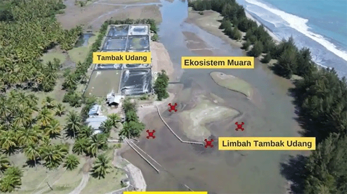 Kondisi kawasan muara di wilayah pesisir yang memperlihatkan keberadaan tambak udang berdekatan dengan ekosistem muara dan kawasan lindung, diduga memicu pencemaran akibat limbah tambak beberapa waktu lalu. Aktivitas tersebut dinilai berpotensi merusak lingkungan pesisir serta mengancam keberlanjutan sumber daya alam di wilayah tersebut. 


Artikel ini telah tayang di TribunPadang.com dengan judul Lagi, Bocah 5 Tahun Tewas di Tambak Udang Padang Pariaman, Walhi Sumbar Desak Audit dan Penutupan, https://padang.tribunnews.com/sumatera-barat/173312/lagi-bocah-5-tahun-tewas-di-tambak-udang-padang-pariaman-walhi-sumbar-desak-audit-dan-penutupan.
Penulis: Fajar Alfaridho Herman | Editor: Rahmadi