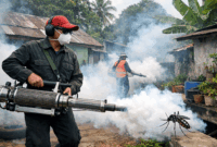 ilustrasi petugas yang sedang melakukan fogging DBD