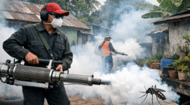 ilustrasi petugas yang sedang melakukan fogging DBD