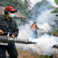 ilustrasi petugas yang sedang melakukan fogging DBD
