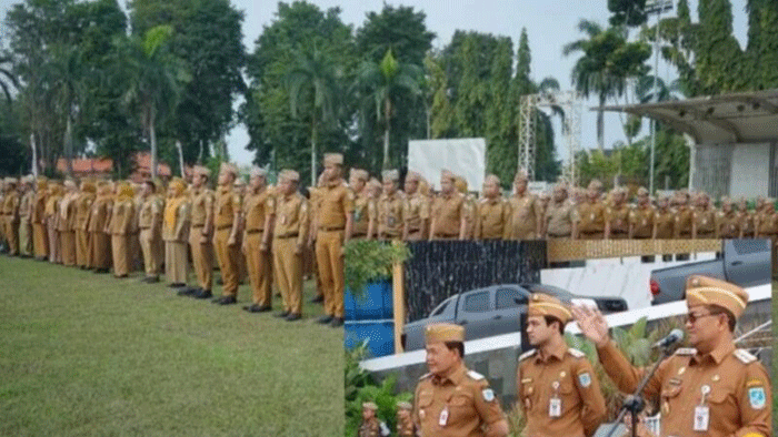 Kepala BKPSDMD Kota Jambi, Rizalul Fikri