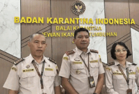 EKSPOR - Kepala Balai Karantina Hewan, Ikan, dan Tumbuhan Jambi, Sudiwan Situmorang mengonfirmasi kabar pengembalian ekspor pinang tujuan Iran.