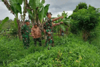 peninjauan program cetak sawah rakyat di tiga desa