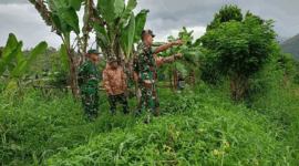 peninjauan program cetak sawah rakyat di tiga desa