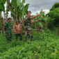peninjauan program cetak sawah rakyat di tiga desa