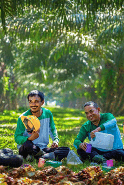 Wamentan Sudaryono Tegas, Pabrik Sawit Beli TBS Murah Bisa Dicabut Izinnya
