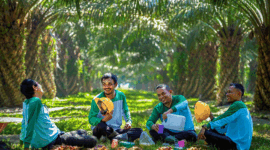 Ilustrasi tanaman kelapa sawit-DOK Jambi Ekspres-