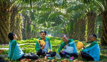 Ilustrasi tanaman kelapa sawit-DOK Jambi Ekspres-