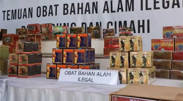 Petugas BPOM menunjukkan barang bukti obat bahan alam ilegal senilai Rp8,1 miliar hasil penindakan di wilayah Bandung dan Cimahi, Jawa Barat, Oktober 2024. Pada Mei 2026, otoritas pengawas juga menemukan peredaran 22 merek jamu tradisional berbahaya yang terbukti dicampur zat kimia keras yang bisa memicu stroke hingga gagal ginjal. 