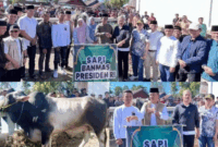 Bupati Kerinci Monadi, bersama Wakil Bupati H. Murison, menyerahkan sapi kurban bantuan kemasyarakatan dari Presiden Republik Indonesia.