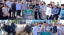 Bupati Kerinci Monadi, bersama Wakil Bupati H. Murison, menyerahkan sapi kurban bantuan kemasyarakatan dari Presiden Republik Indonesia.