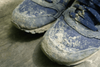 Ilustrasi sepatu anak. Foto: Shutter Stock