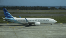 Ilustrasi Pesawat Garuda Indonesia. Foto: Darryl Ramadhan/kumparan