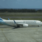 Ilustrasi Pesawat Garuda Indonesia. Foto: Darryl Ramadhan/kumparan