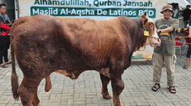 Masjid Al Aqsha BSD kembali menyembelih 198 hewan qurban senilai Rp 2,4 miliar