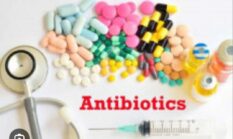 Warga Diingatkan Bijak Gunakan Antibiotik Dan Antimikroba Untuk Cegah Krisis Kesehatan